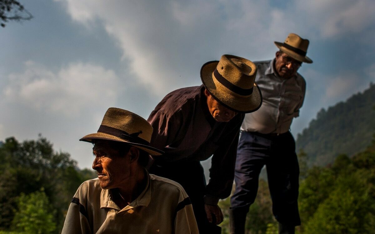 29 Daniele Volpe 29 Daniele Volpe