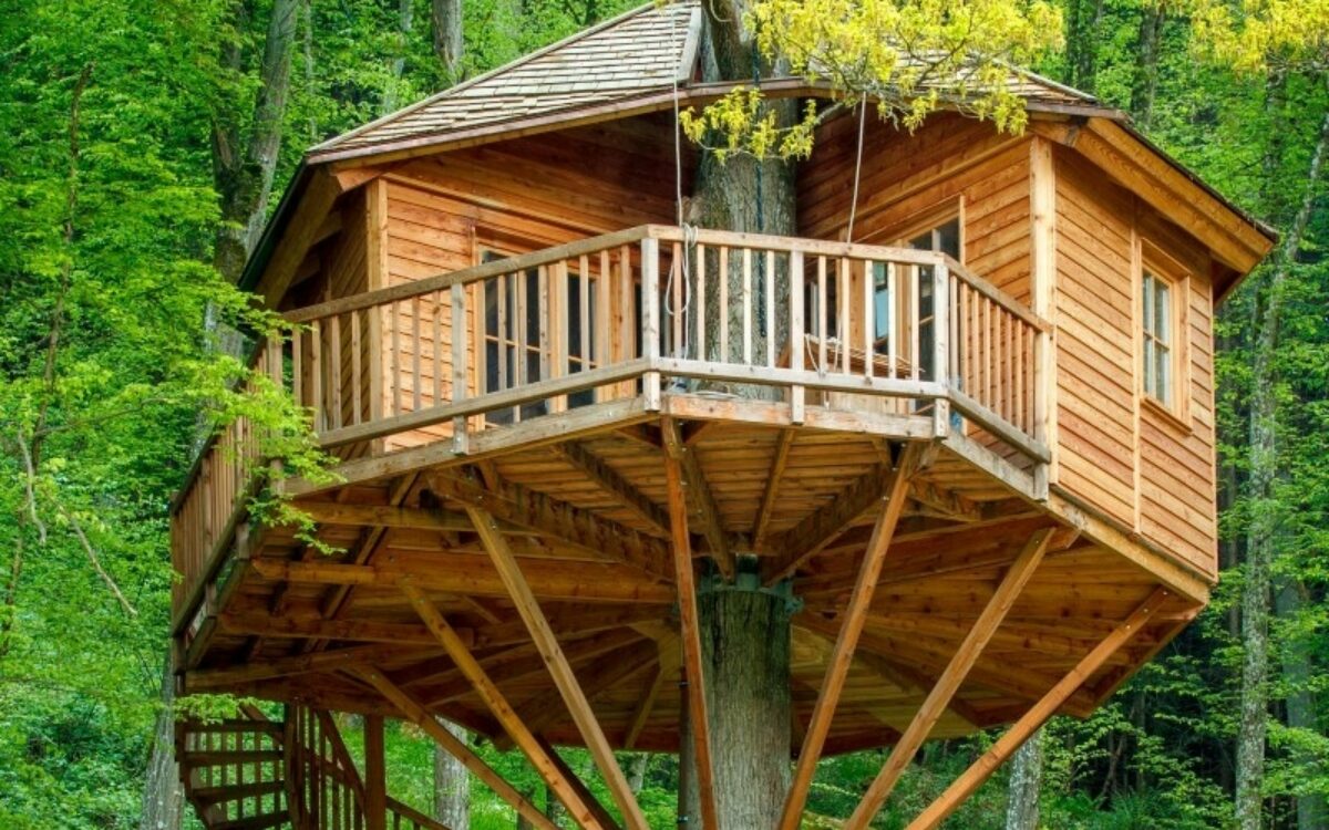 Baumhushotel MFT2021 Gemuenden 1 Baumhushotel MFT2021 Gemuenden 1