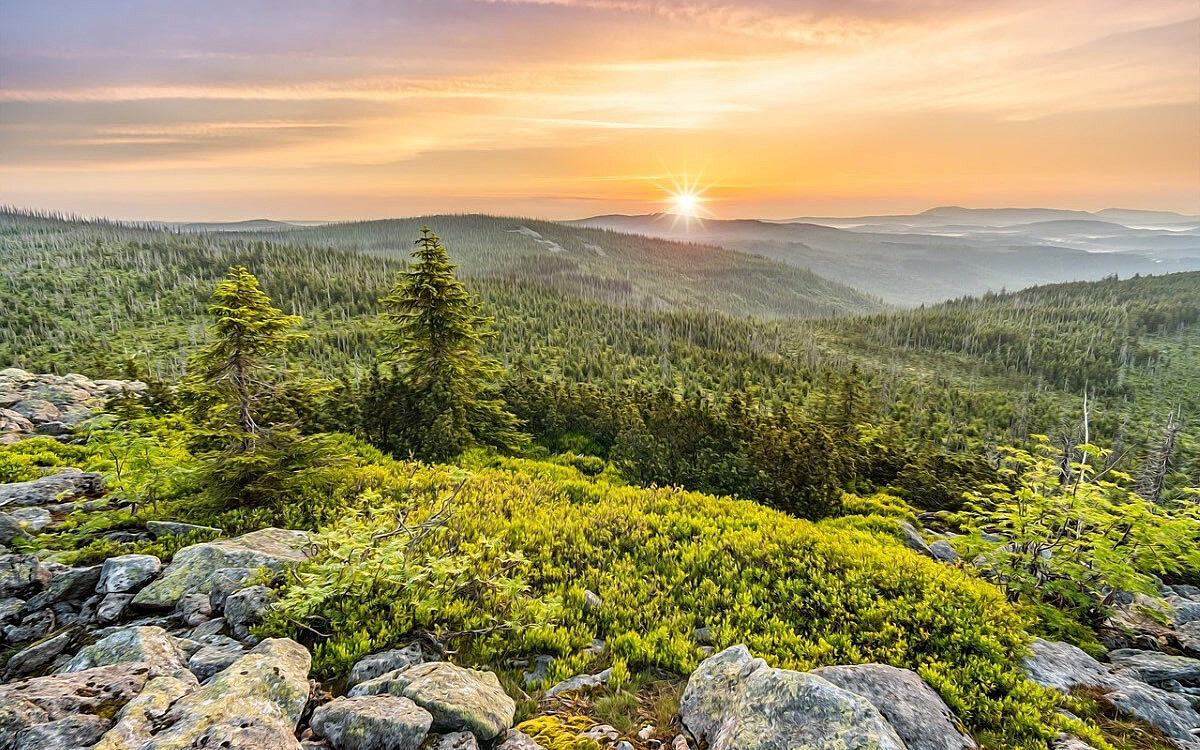 Bayerischer Wald pixabay Bayerischer Wald pixabay