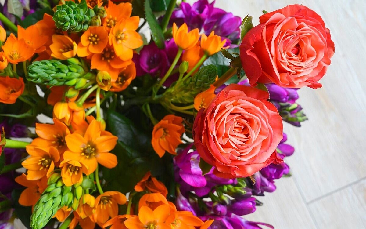 Blumen unsplash Blueten3 Blumen unsplash Blueten3