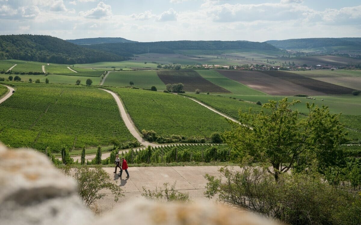 Dachmarketing Kitzinger Land Biberfilm Traum Runde Abtswind Dachmarketing Kitzinger Land Biberfilm Traum Runde Abtswind