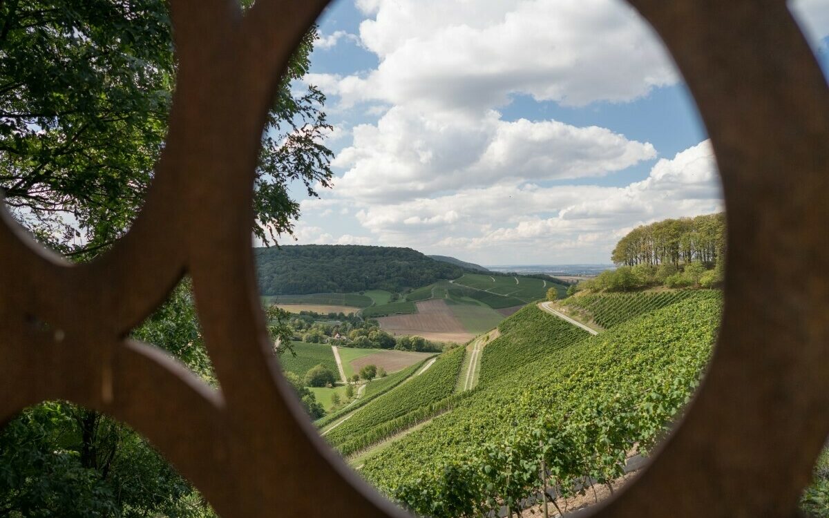 Dachmarketing Kitzinger Land Biberfilm Traum Runde Castell Dachmarketing Kitzinger Land Biberfilm Traum Runde Castell