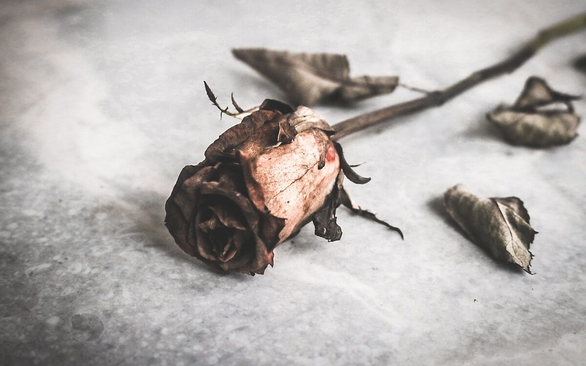 Die wenigsten Scheidungen in Mainfranken Die wenigsten Scheidungen in Mainfranken