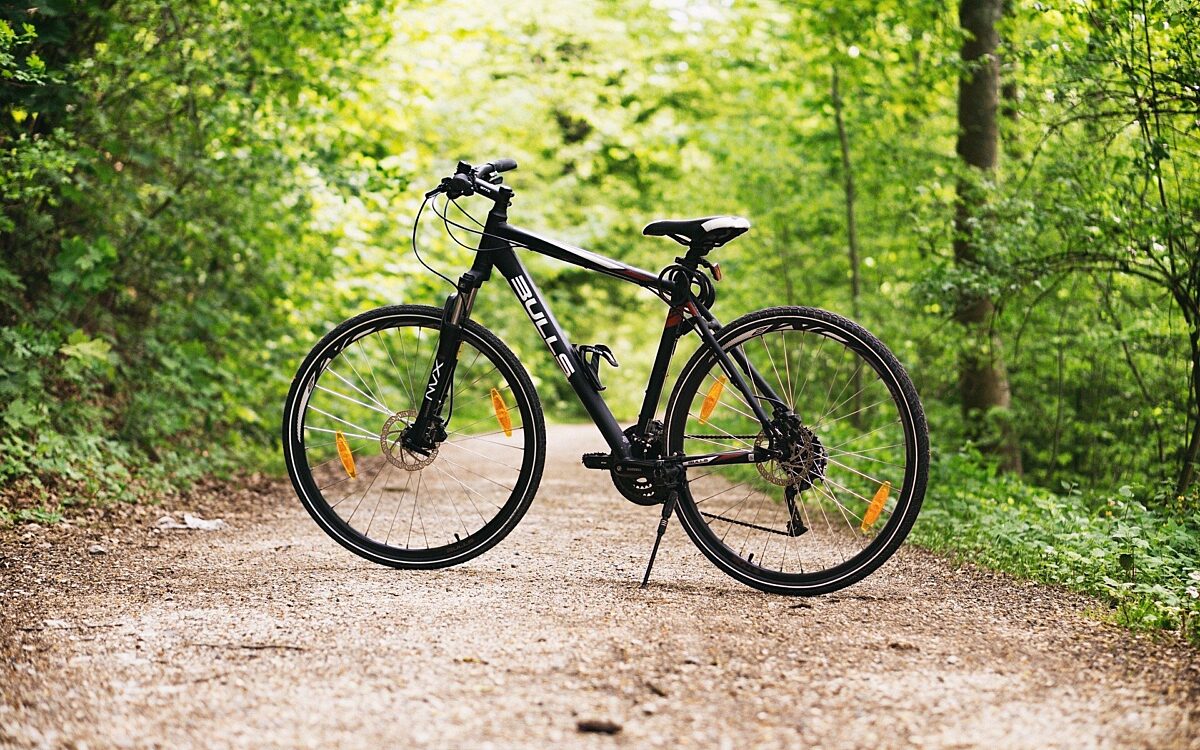 Ein Fahrrad im Wald Ein Fahrrad im Wald