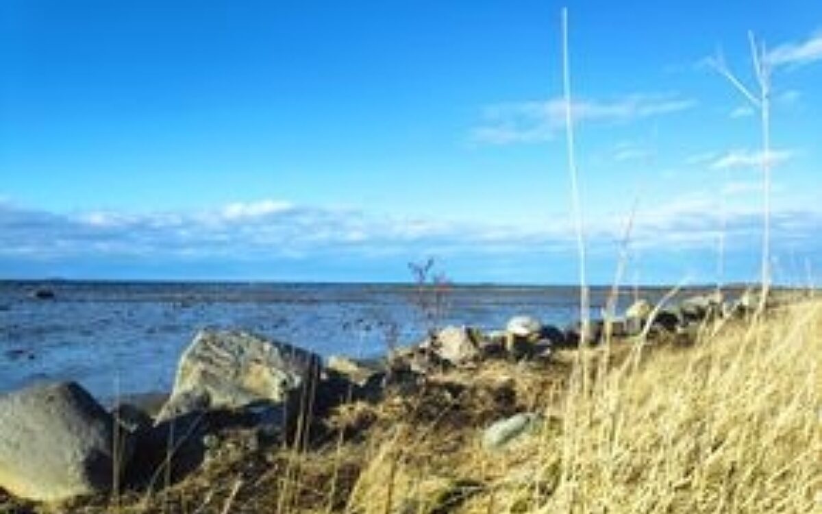 Flaschenpost 3 Flaschenpost 3