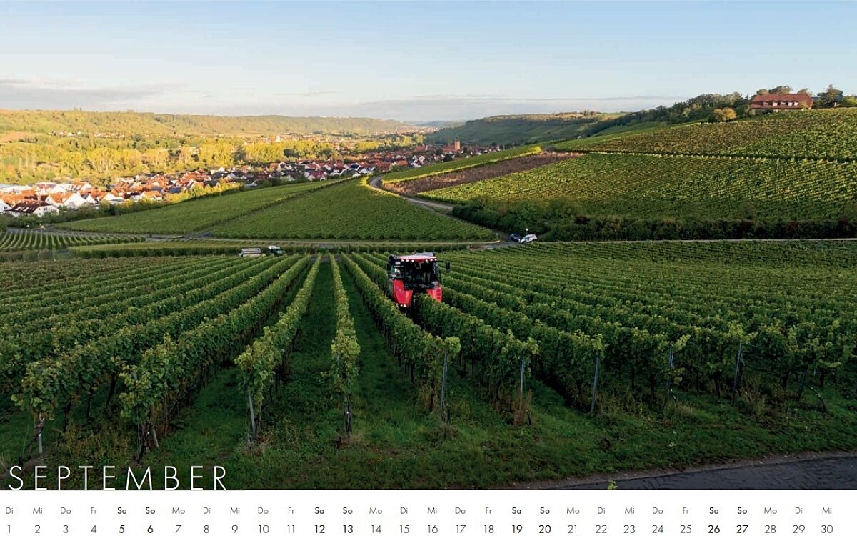 Franken von oben Sommerhausen 3 Franken von oben Sommerhausen 3