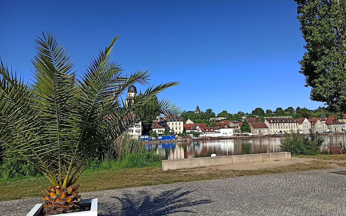 Gartenscahugelaende Kitzingen Palme Kirche Gartenscahugelaende Kitzingen Palme Kirche