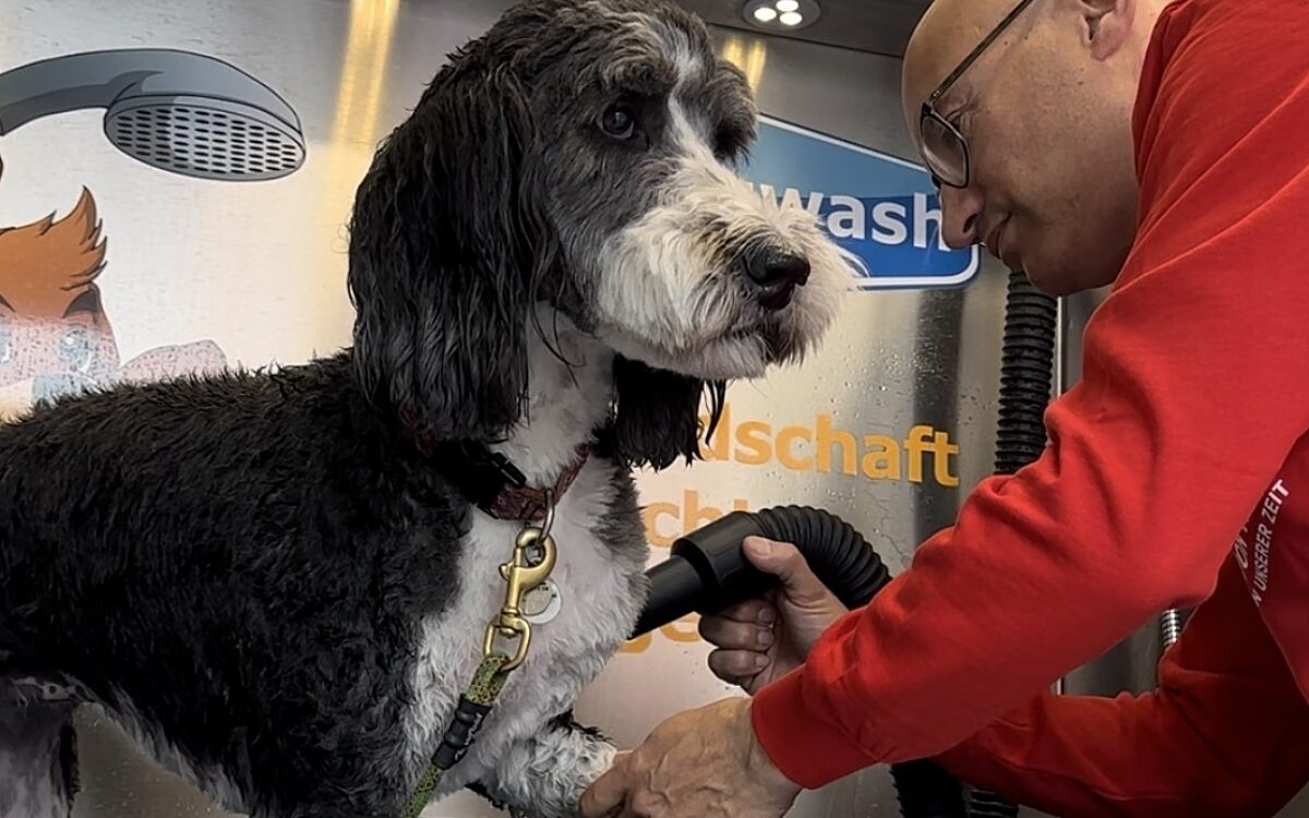 Hundewaschanlage SM3 Hundewaschanlage SM3