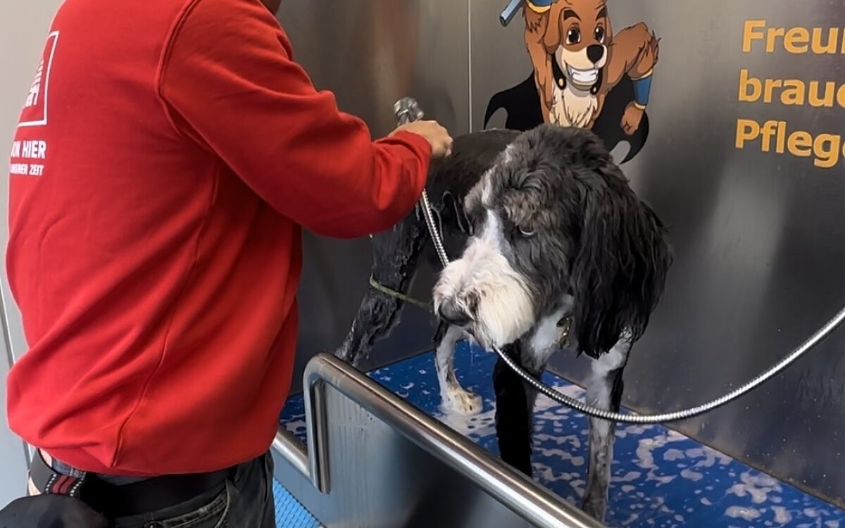 Hundewaschanlage SM4 Hundewaschanlage SM4