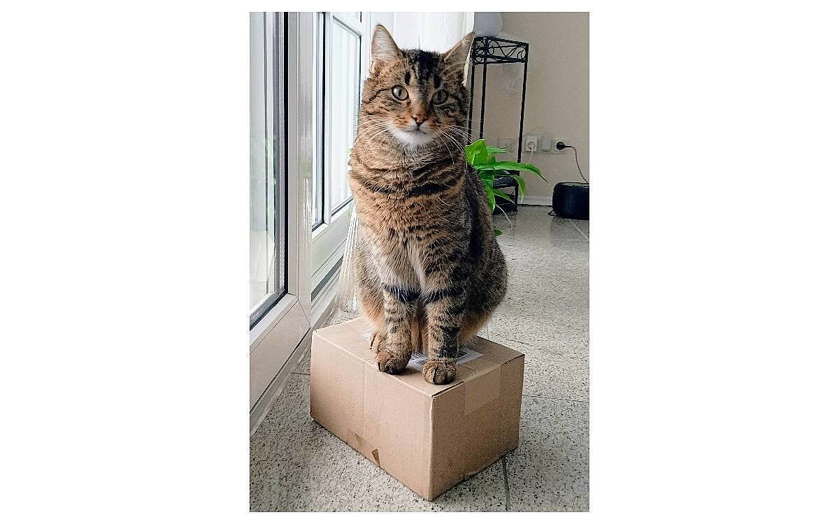 IMG 20260103 1515251873