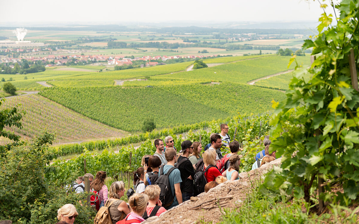 Iphofen Blick vom Geschichtsweinberg michael koch Iphofen Blick vom Geschichtsweinberg michael koch