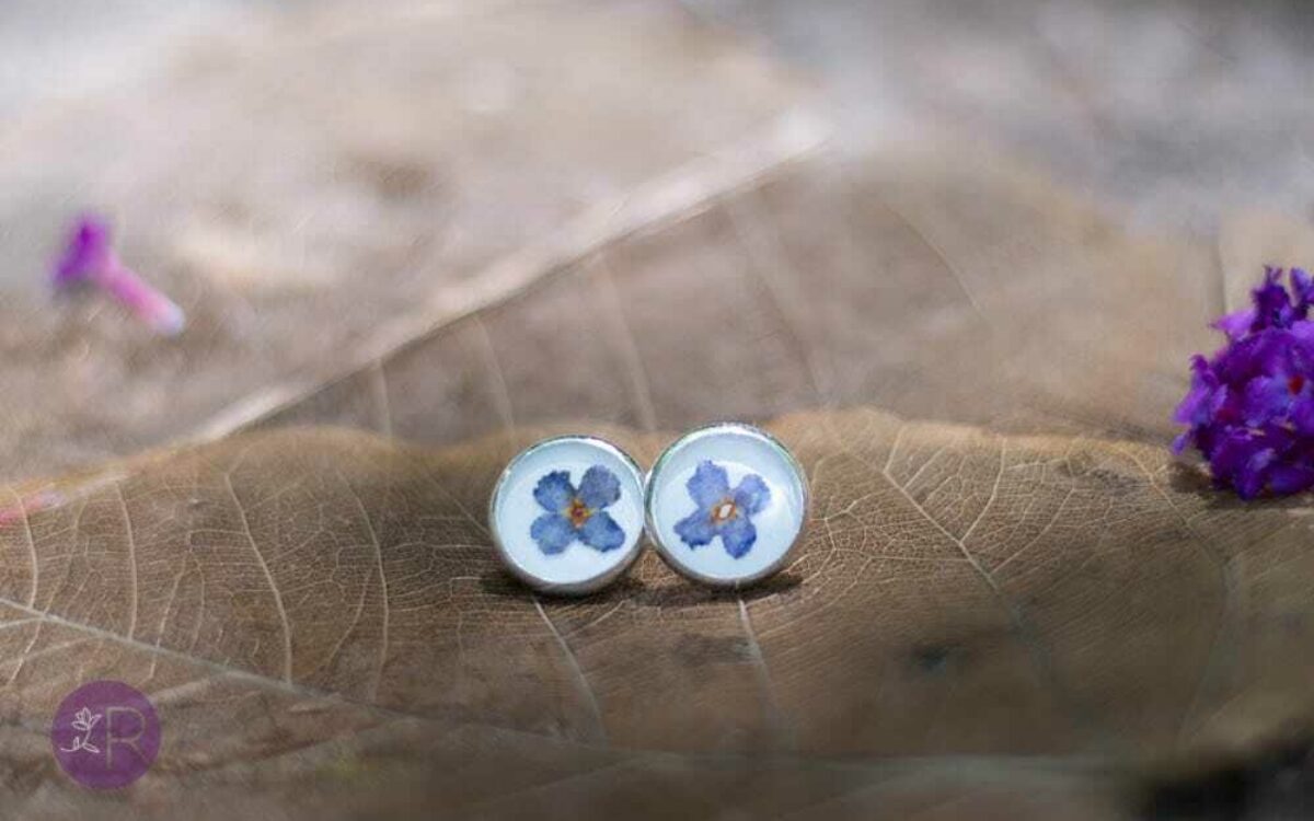 Kitzingen Blumenschmuck Gerner2 Kitzingen Blumenschmuck Gerner2