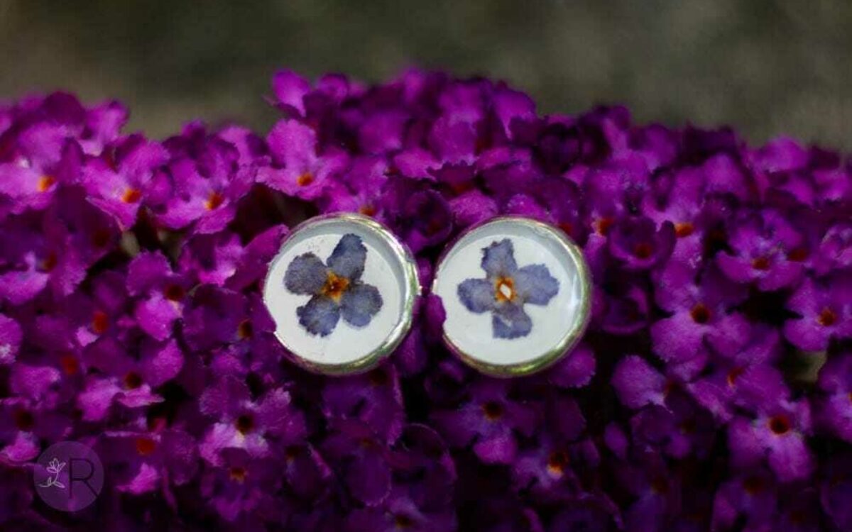 Kitzingen Blumenschmuck Gerner4 Kitzingen Blumenschmuck Gerner4