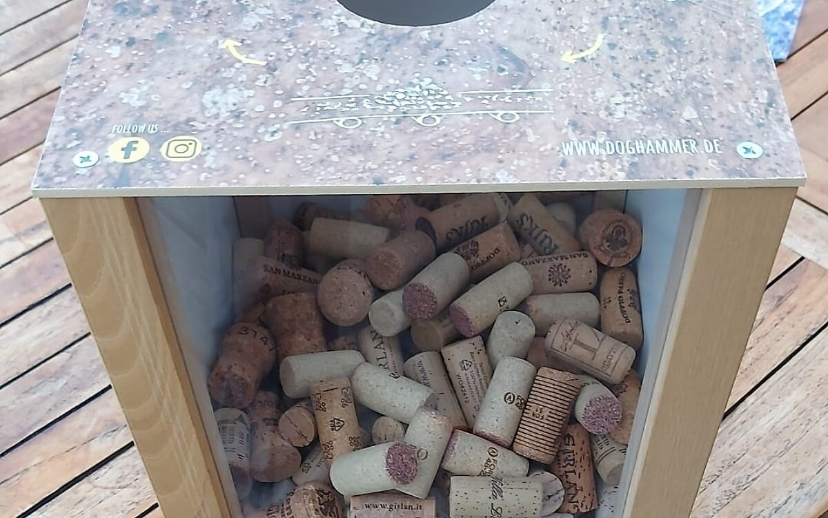 Kork sammeln MSP 1 geschnitten Kork sammeln MSP 1 geschnitten