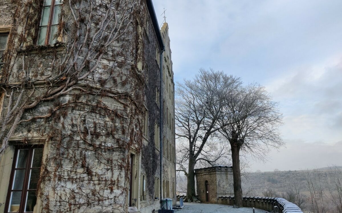 MF Tour Charivari 2021 Schloss Thuengen 5 MF Tour Charivari 2021 Schloss Thuengen 5