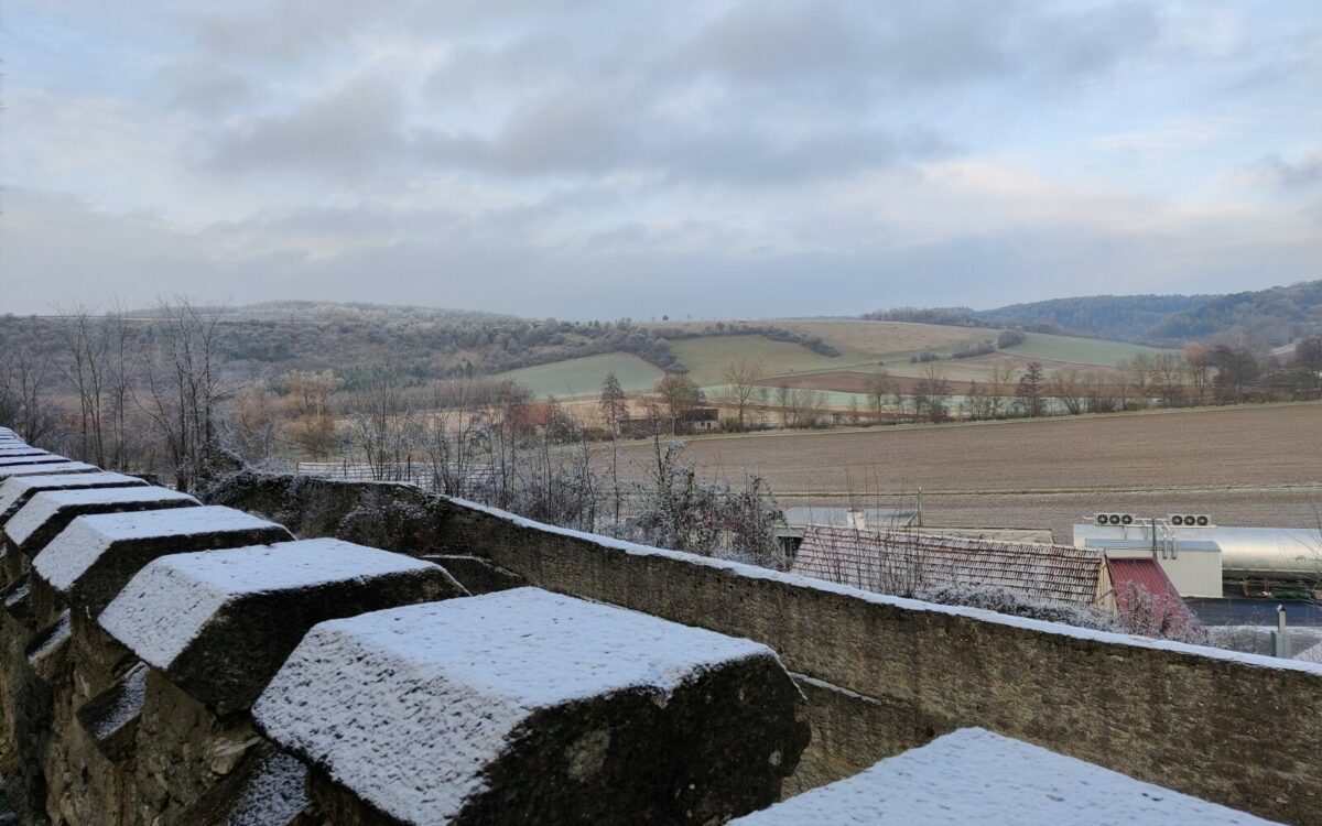 MF Tour Charivari 2021 Schloss Thuengen 6 MF Tour Charivari 2021 Schloss Thuengen 6