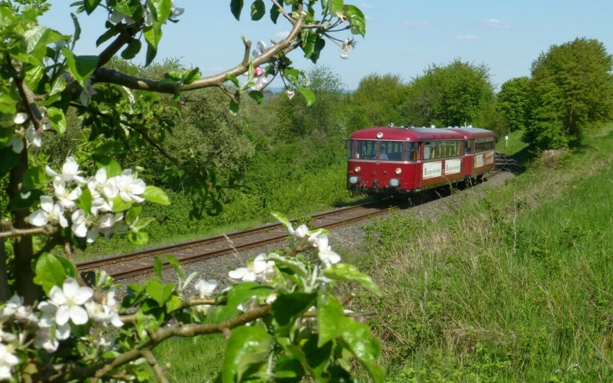 Mainschleifenbahn Saisoneröffnung Obstbaumblüten c Mainschleifenbahn Saisoneröffnung Obstbaumblüten c