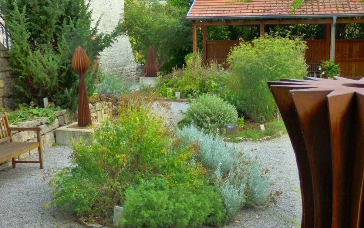 Paracelsus Garten 03 09 2020 Foto Hermann Gabel 23 Paracelsus Garten 03 09 2020 Foto Hermann Gabel 23