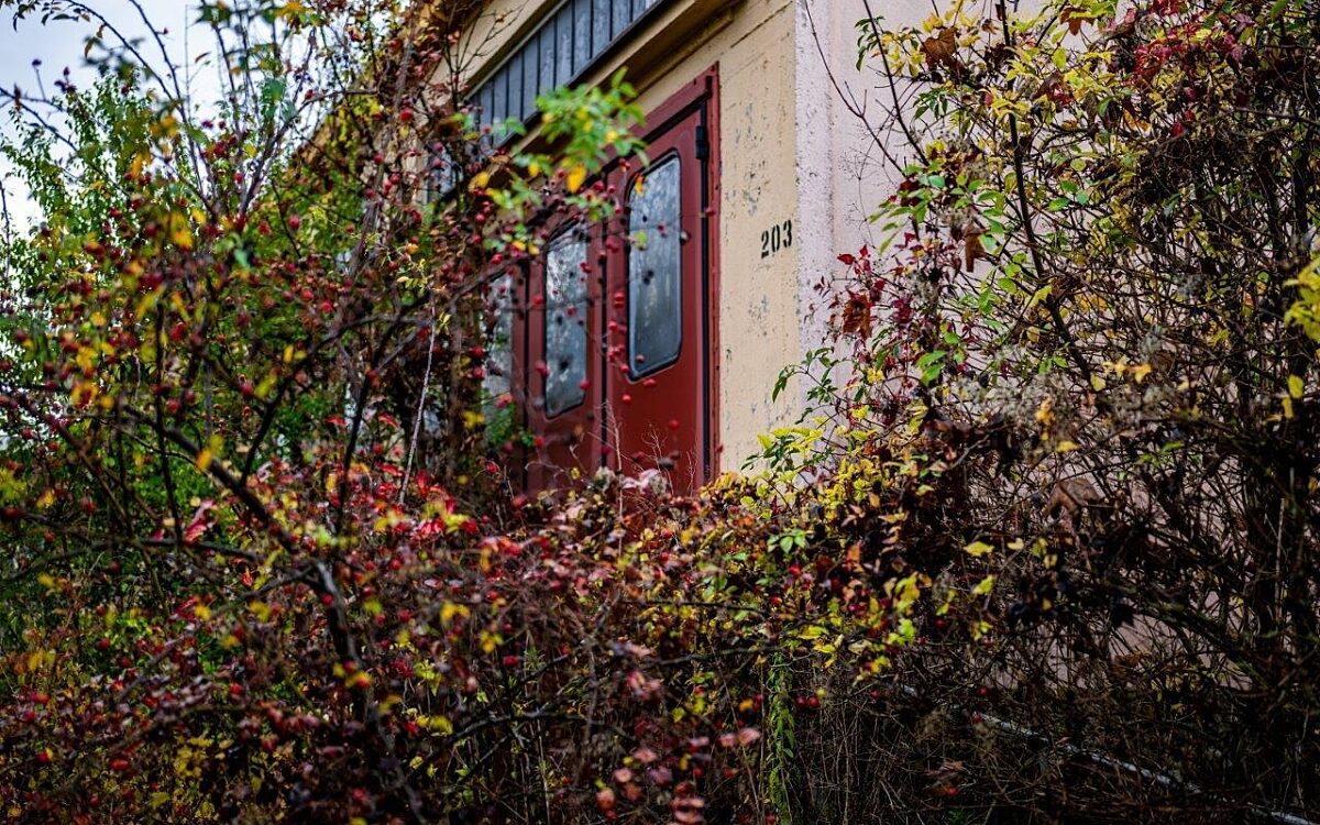 Die Faulenbergkaserne inmitten von Pflanzen Die Faulenbergkaserne inmitten von Pflanzen