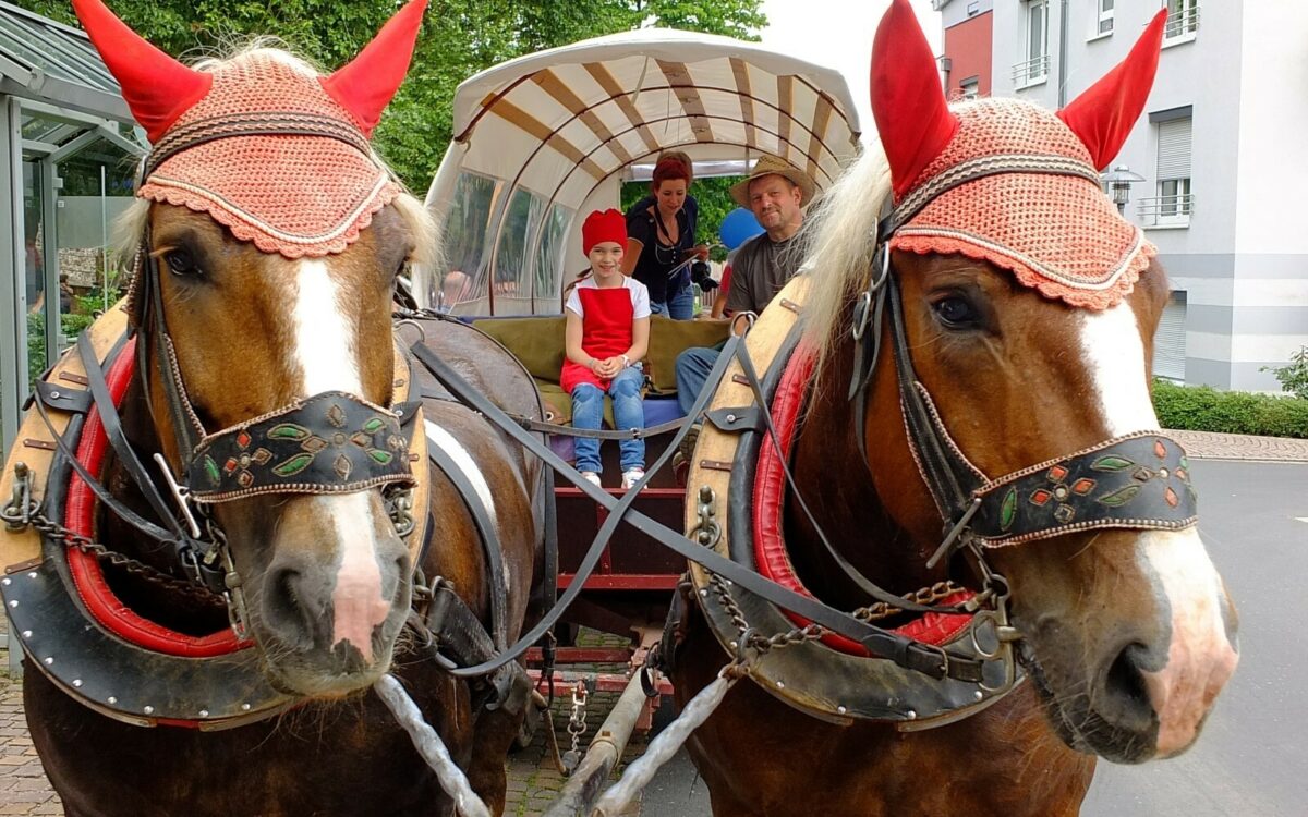 Planwagenfahrt Planwagenfahrt