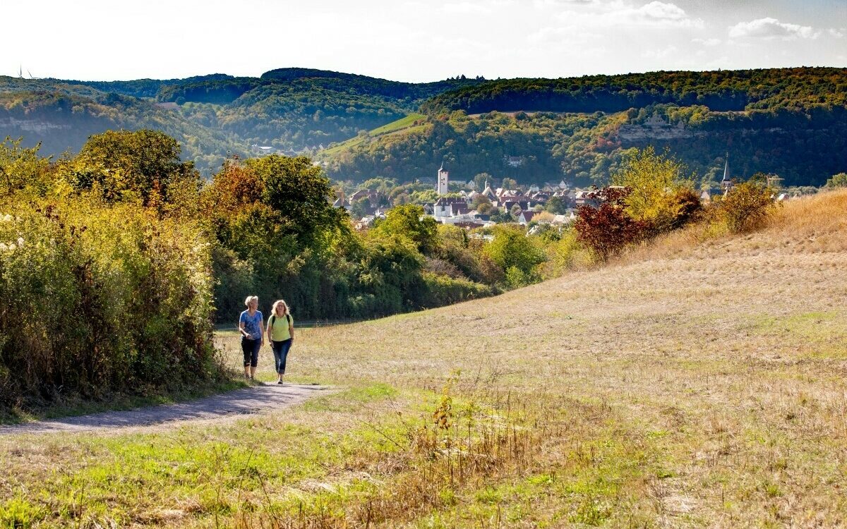 Saupurzel 081 s RGB JM Stadt Karlstadt Saupurzel 081 s RGB JM Stadt Karlstadt
