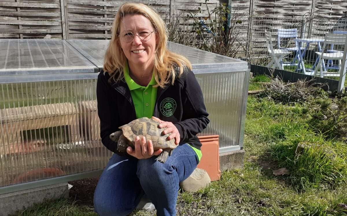 Schildkroeten Kitzingen SM 1 Schildkroeten Kitzingen SM 1