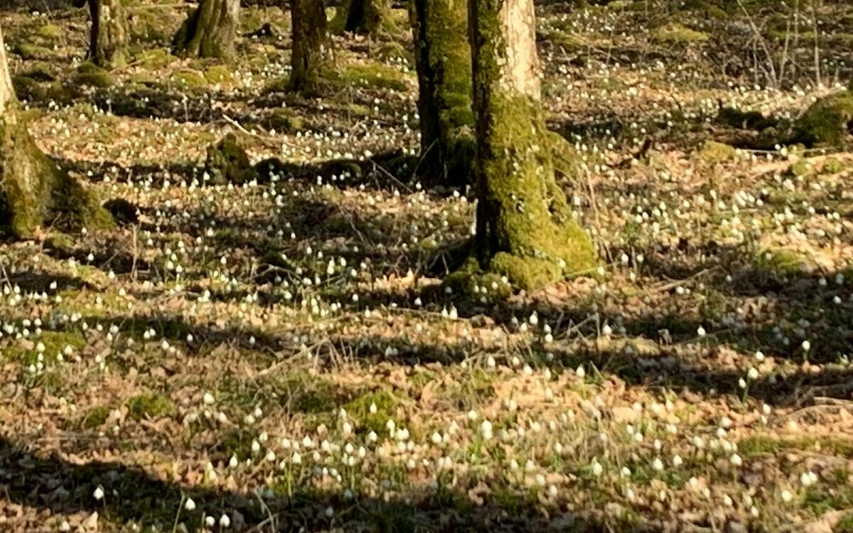 Schöne Plätze Sodenberg 2 Schöne Plätze Sodenberg 2