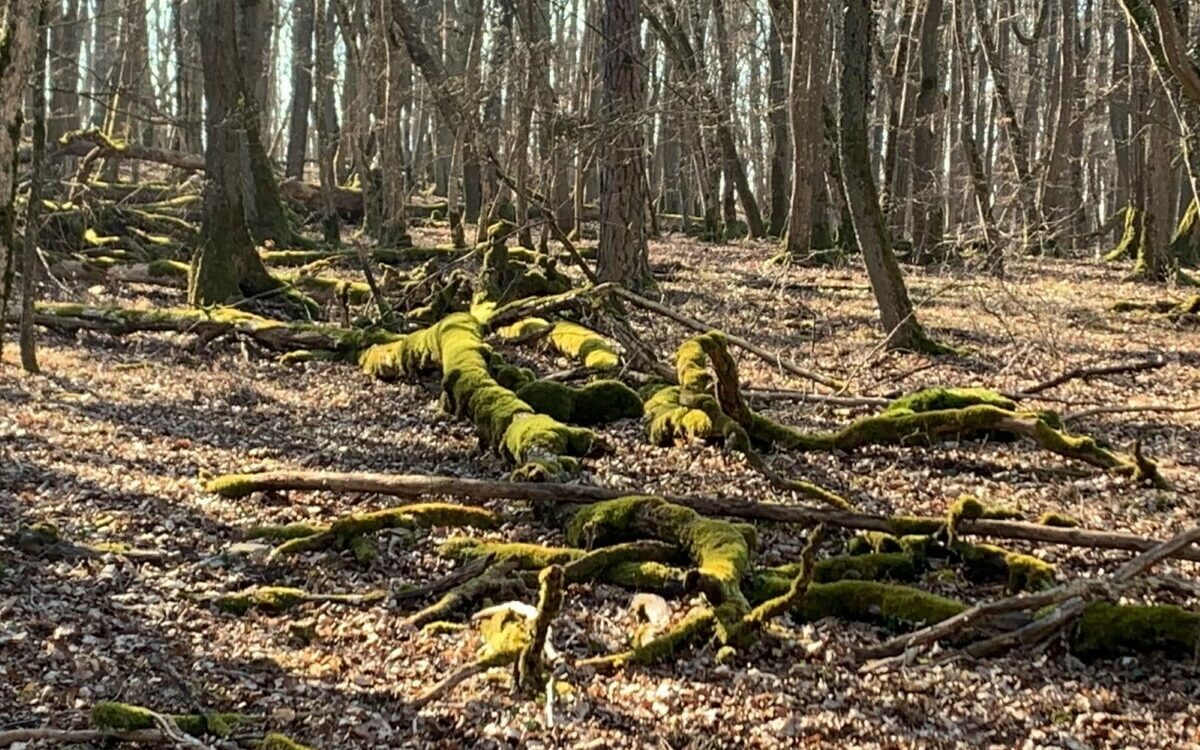 Schöne Plätze sodenberg 2 Schöne Plätze sodenberg 2