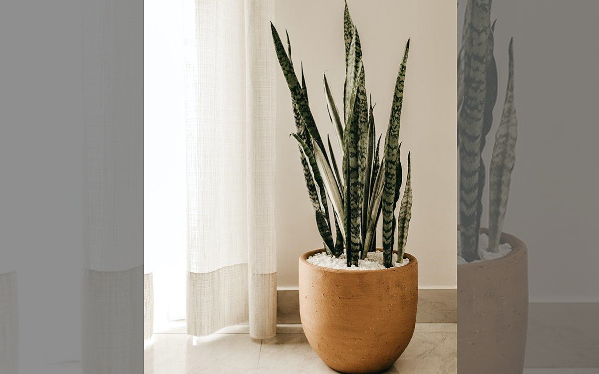 Skandi look blumentopf service pixabay Skandi look blumentopf service pixabay