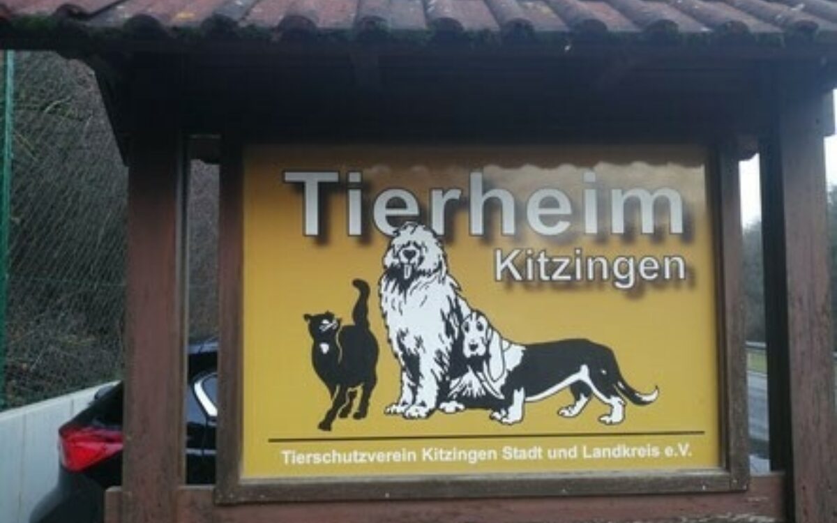 Tierheim kitzingen Tierheim kitzingen