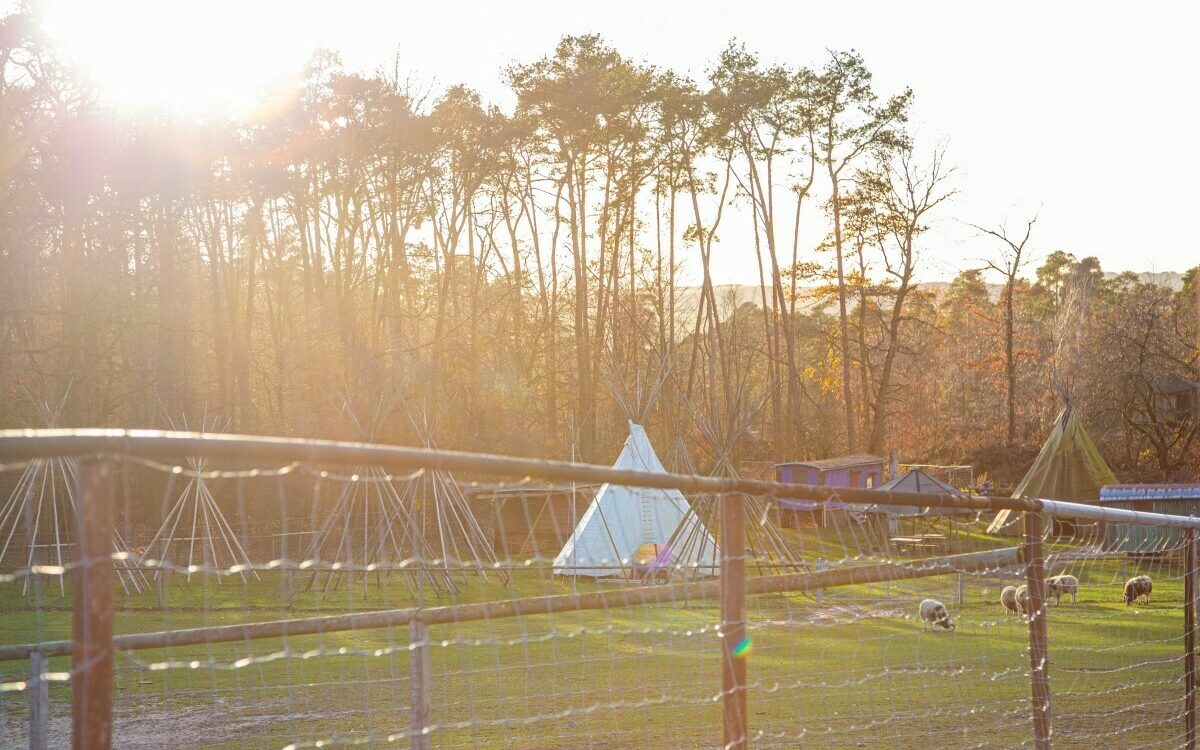 Tierpark Sommerhausen 4 Tierpark Sommerhausen 4