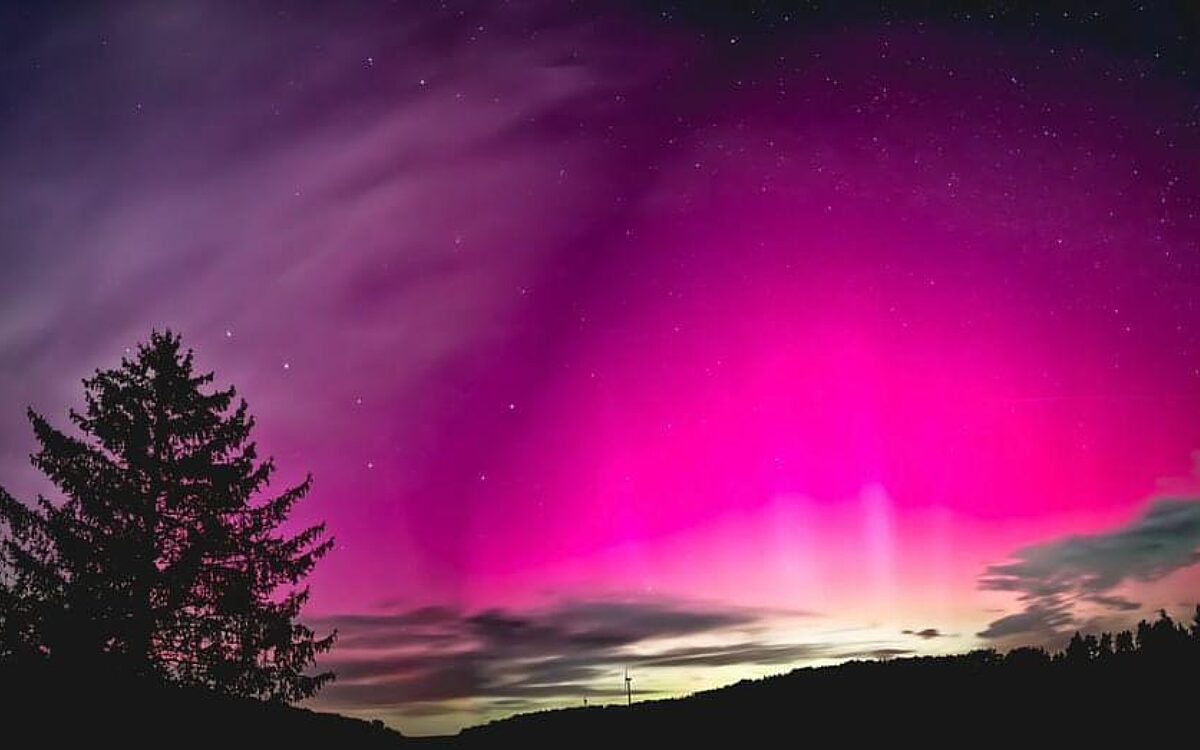 Whats App Image 2024 10 11 at 07 18 45 3 Whats App Image 2024 10 11 at 07 18 45 3