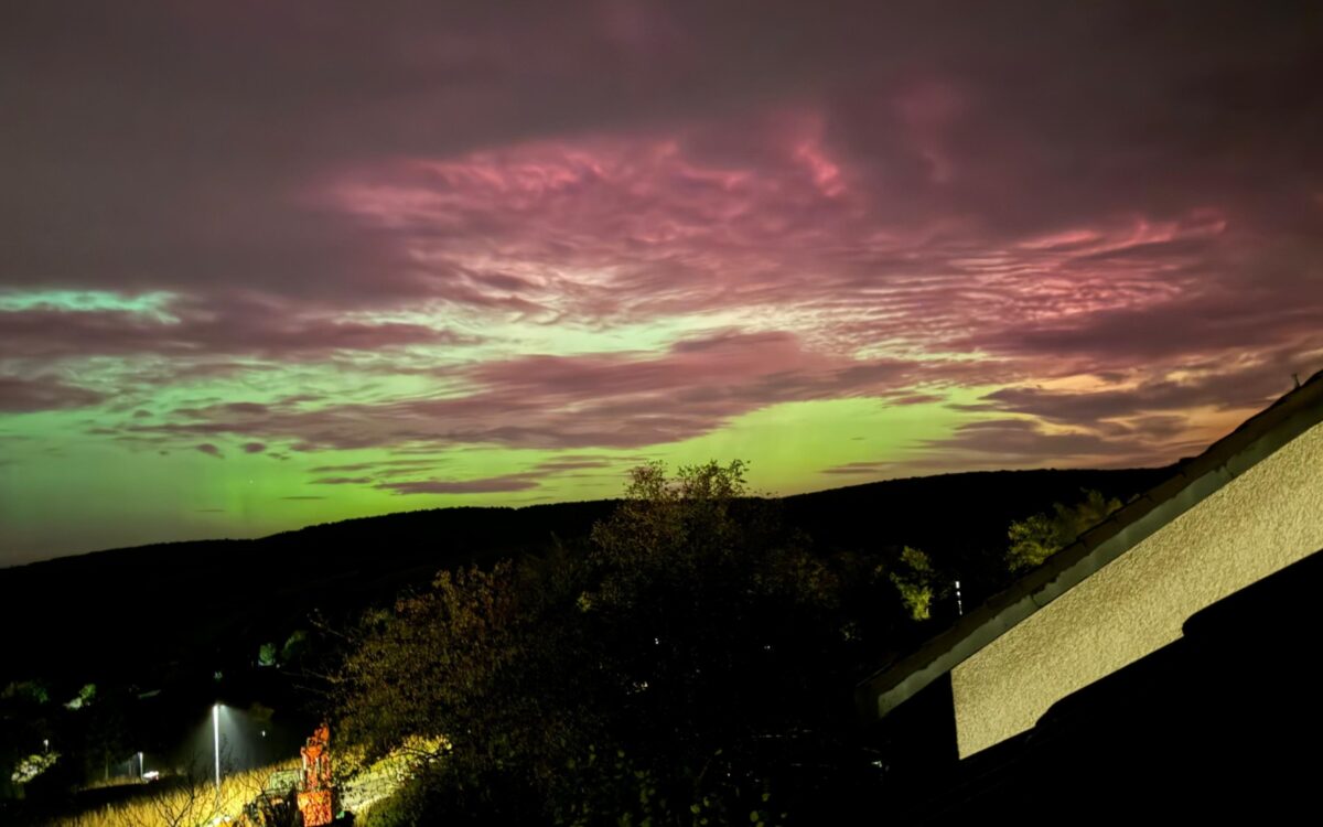 Whats App Image 2024 10 11 at 07 52 23 Whats App Image 2024 10 11 at 07 52 23