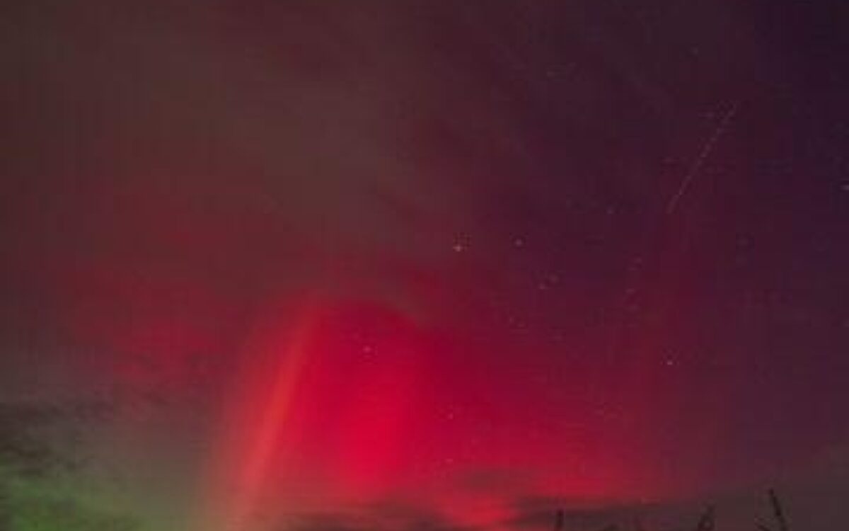 Whats App Image 2024 10 11 at 08 11 31 Whats App Image 2024 10 11 at 08 11 31