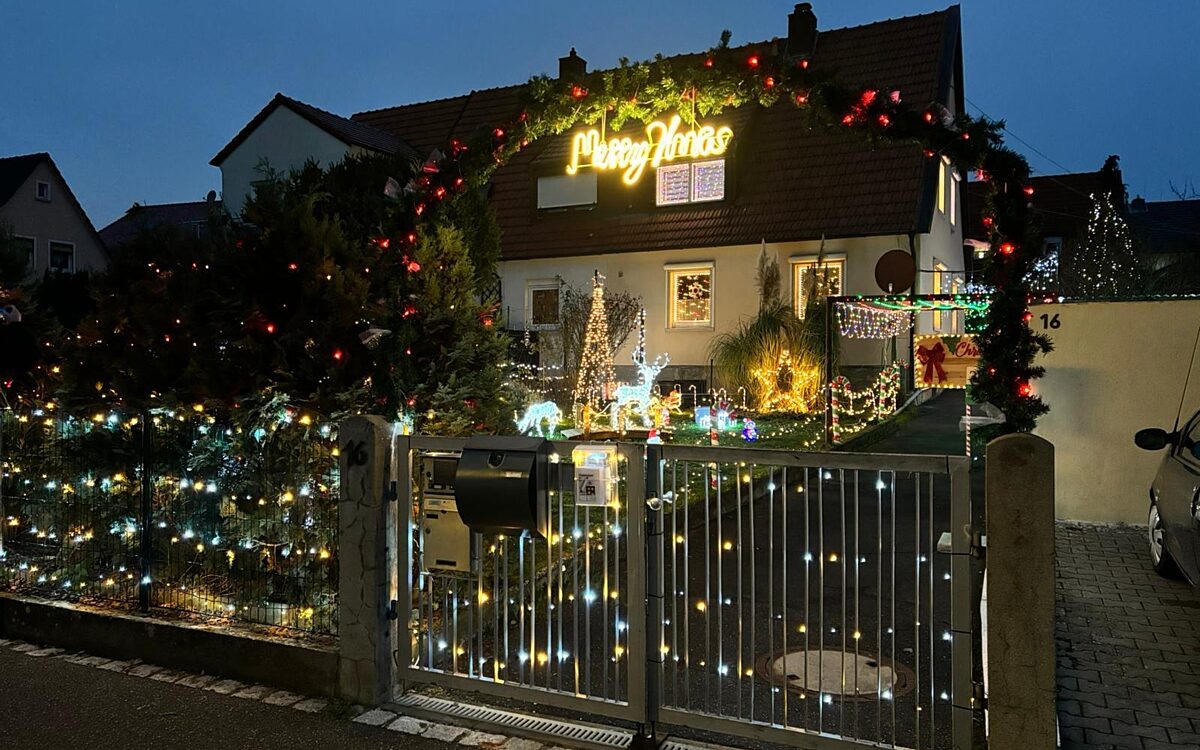 Whats App Image 2024 12 02 at 14 19 53 Whats App Image 2024 12 02 at 14 19 53