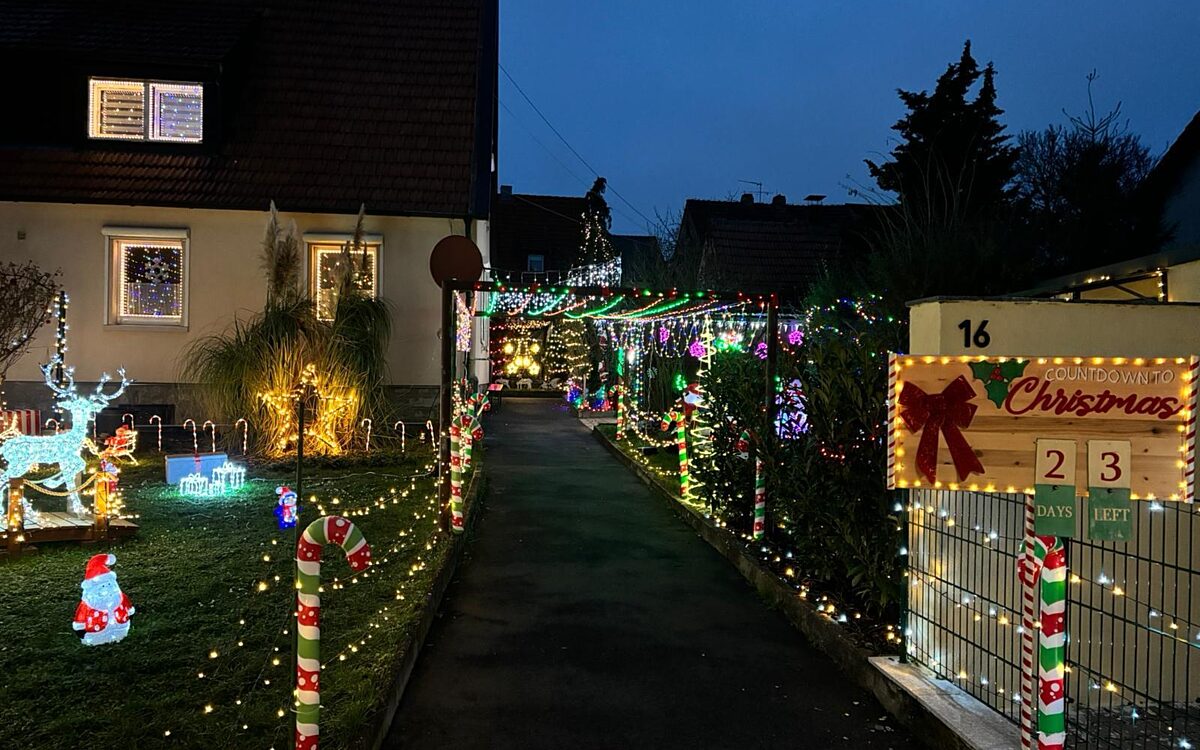 Whats App Image 2024 12 02 at 14 19 541 Whats App Image 2024 12 02 at 14 19 541