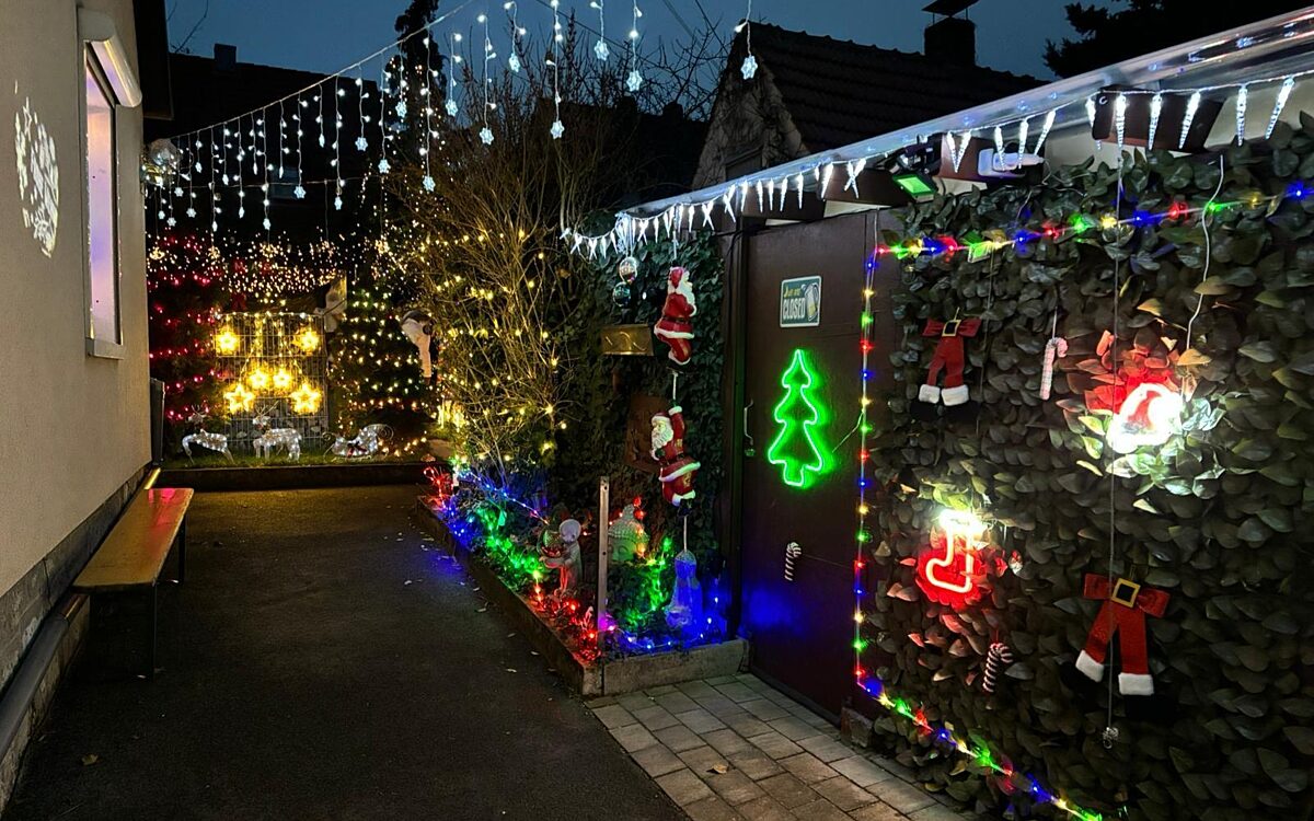 Whats App Image 2024 12 02 at 14 19 551 Whats App Image 2024 12 02 at 14 19 551