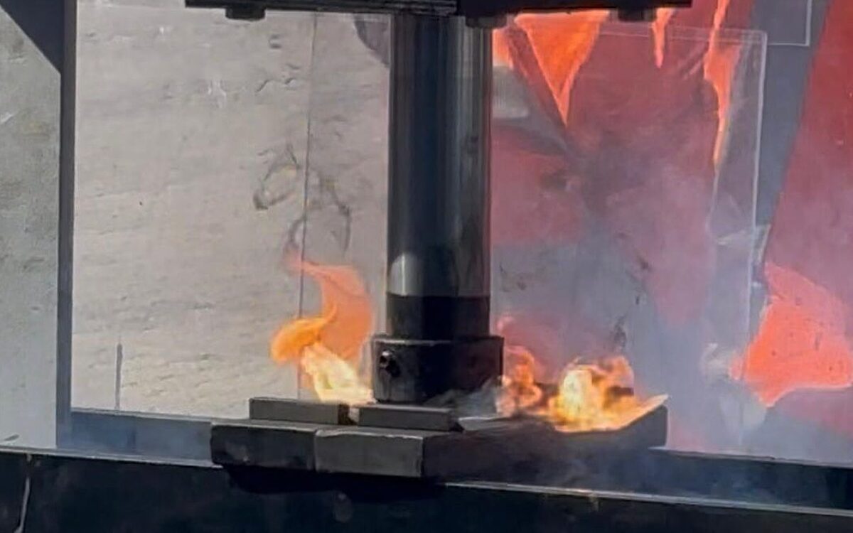 Whats App Image 2025 04 09 at 07 50 30 Whats App Image 2025 04 09 at 07 50 30