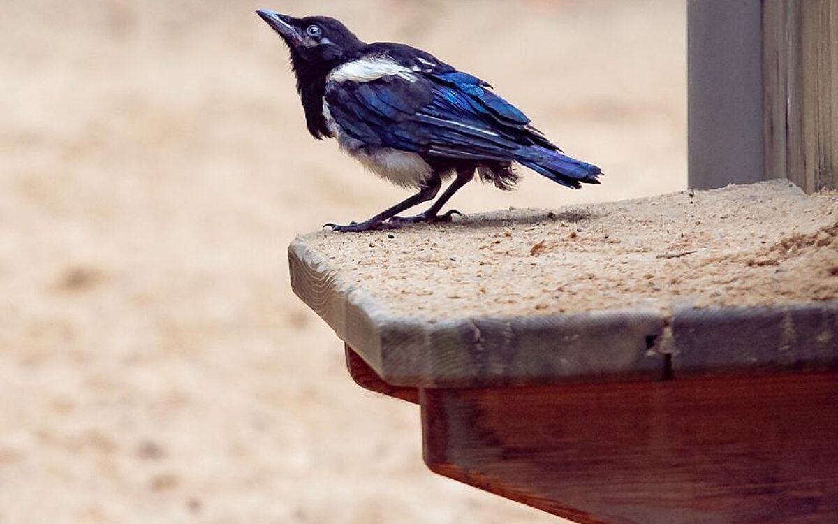 Whats App Image 2025 07 23 at 15 16 36 1 Whats App Image 2025 07 23 at 15 16 36 1