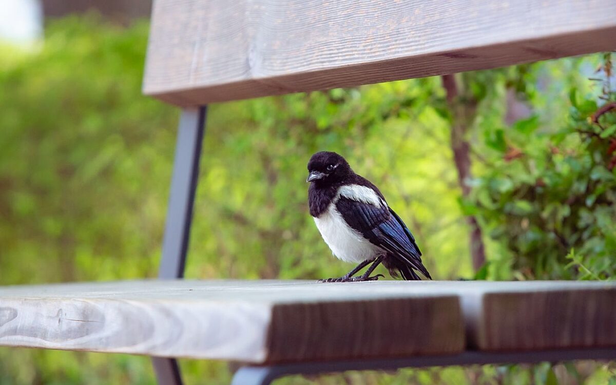 Whats App Image 2025 07 23 at 15 16 37 Whats App Image 2025 07 23 at 15 16 37