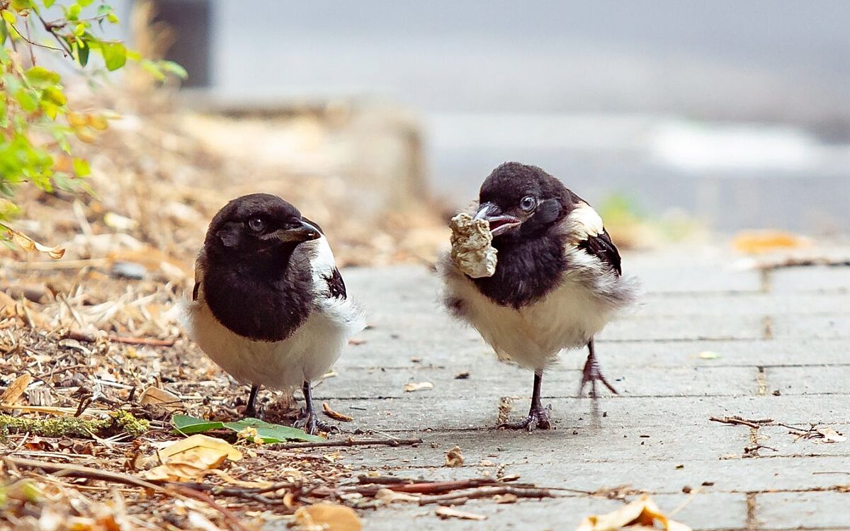 Whats App Image 2025 07 23 at 15 16 38 Whats App Image 2025 07 23 at 15 16 38