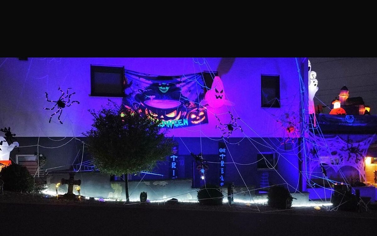 Whats App Image 2025 10 23 at 08 03 58 Whats App Image 2025 10 23 at 08 03 58