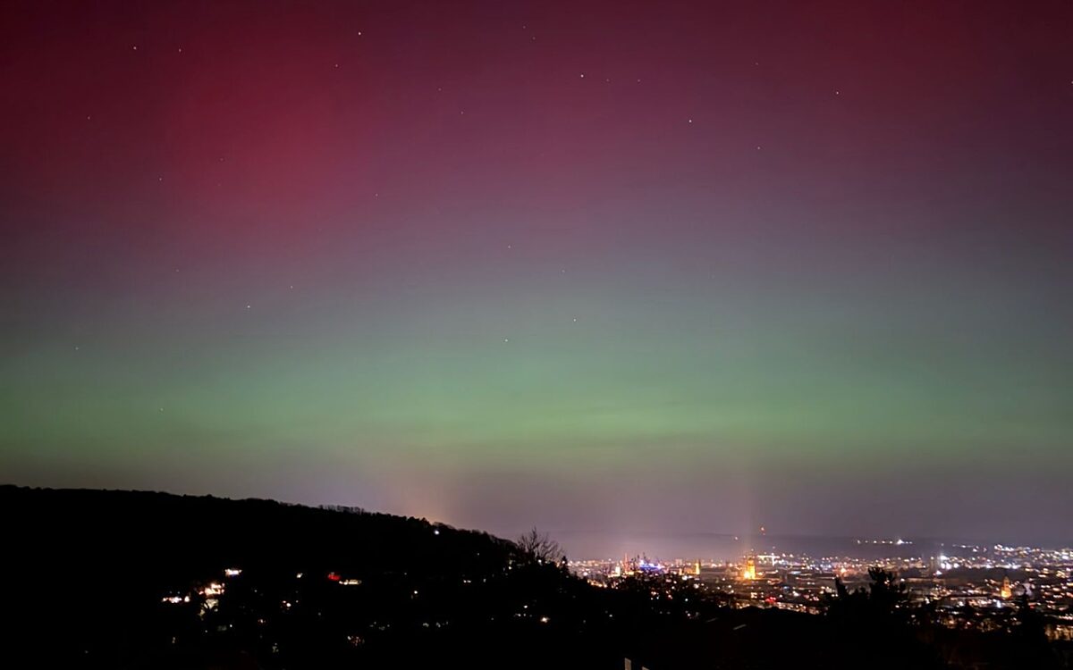 Whats App Image 2026 01 19 at 22 42 56 Whats App Image 2026 01 19 at 22 42 56