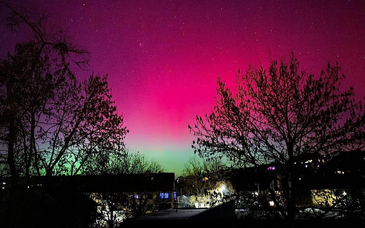 Whats App Image 2026 01 20 at 07 02 53 1