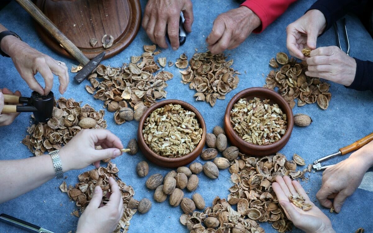 Winterhausen Walnussknacker 10 Winterhausen Walnussknacker 10