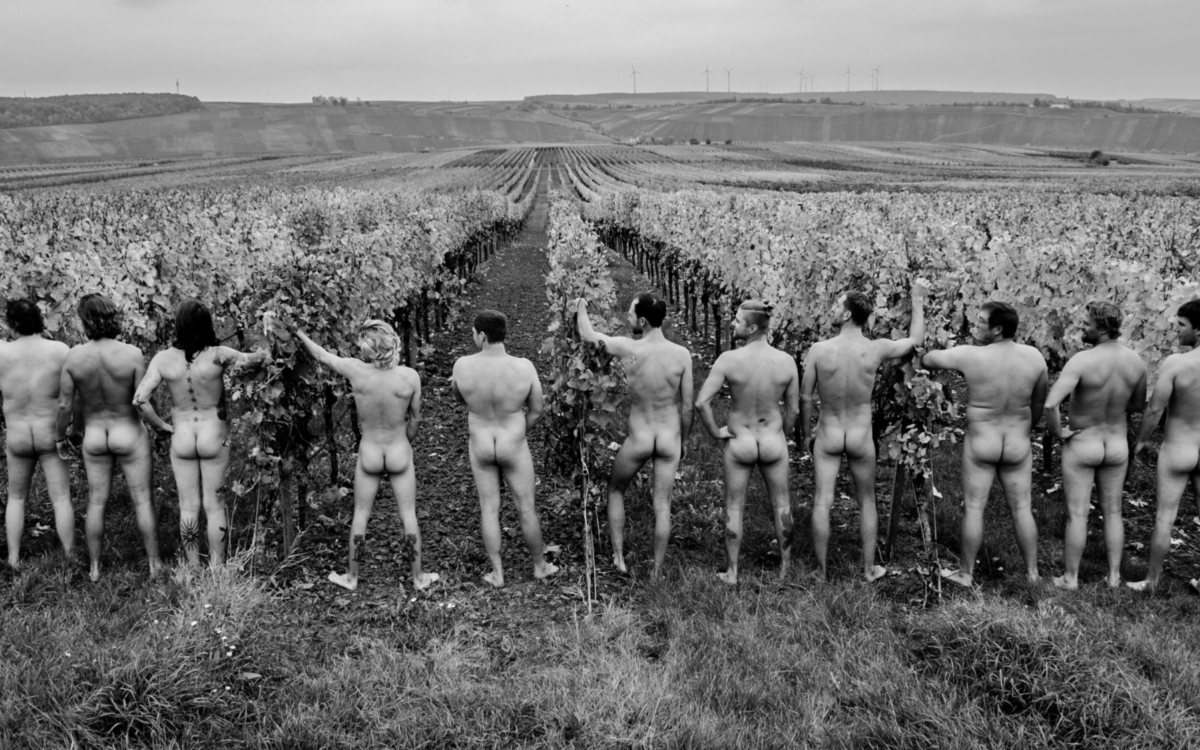 Winzerkalender Nordheim Sommerach 2 Max Mueller Winzerkalender Nordheim Sommerach 2 Max Mueller