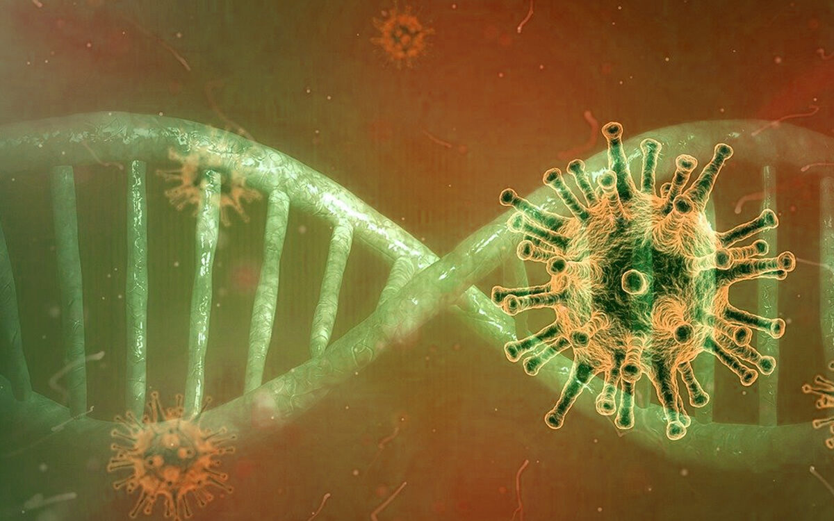 Corona wissenswertes Corona wissenswertes