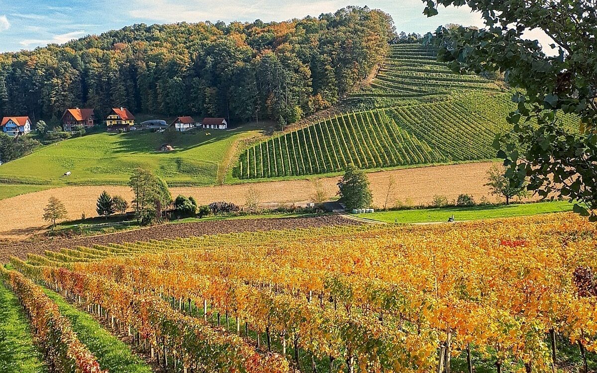 Fall 4594036 1280 Fall 4594036 1280