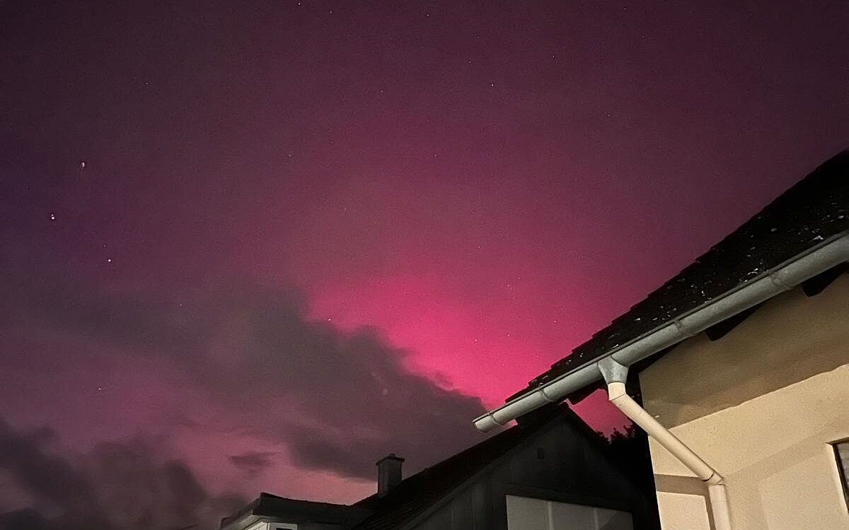 Nicole polar Nicole polar