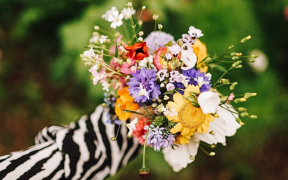 Photo Blumen unsplash Photo Blumen unsplash